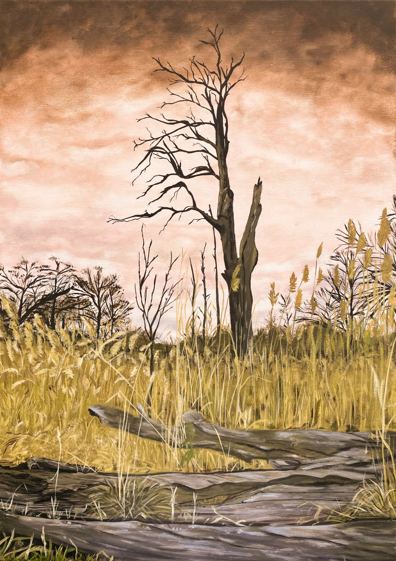 Výstava obrazů Šárky Osmánkové